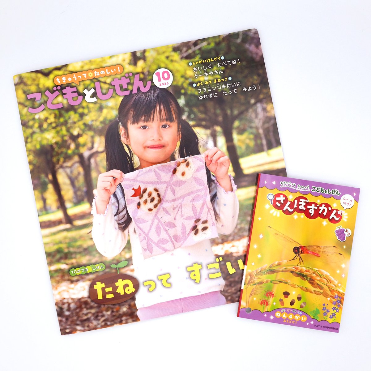 t_yooco's tweet image. 【📣お仕事報告】
「こどもとしぜん」10月号(ひかりのくにさま)
付録のさんぽずかん(秋)で、
昨年制作したイラストを今年も使っていただきました🍇
秋のおさんぽ、たくさんの発見がありますように🍁