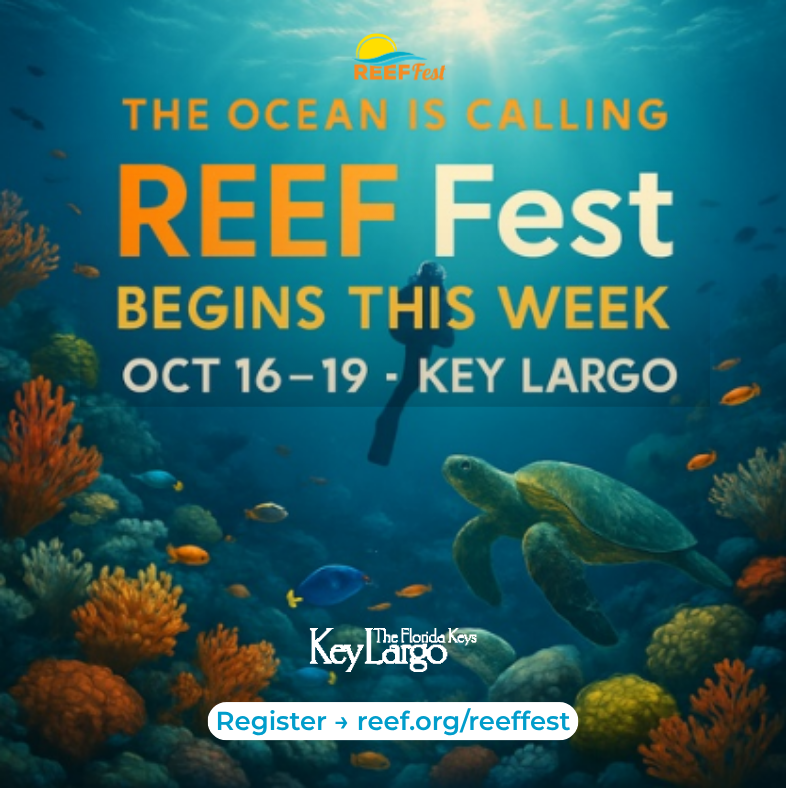 Florida Keys tweet media