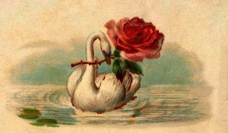 Aldığın yara, ışığın sana sızacağı yerdir.
 
—Rumî