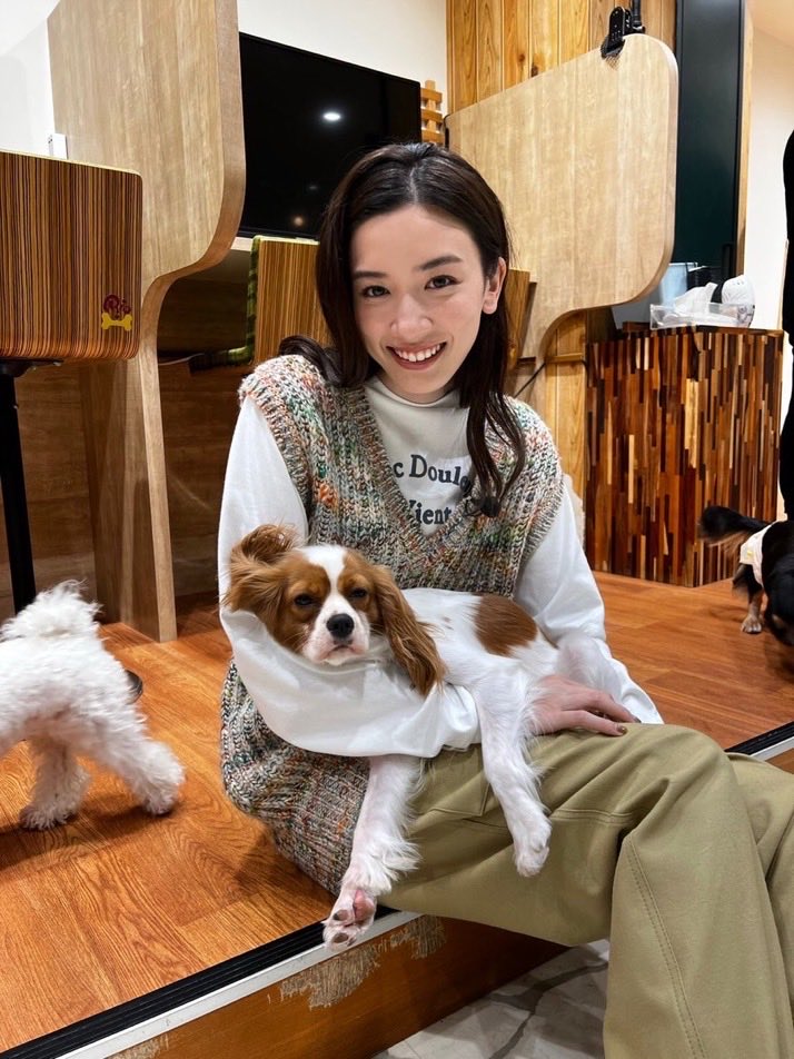 全く犬って生き物は、、、、。