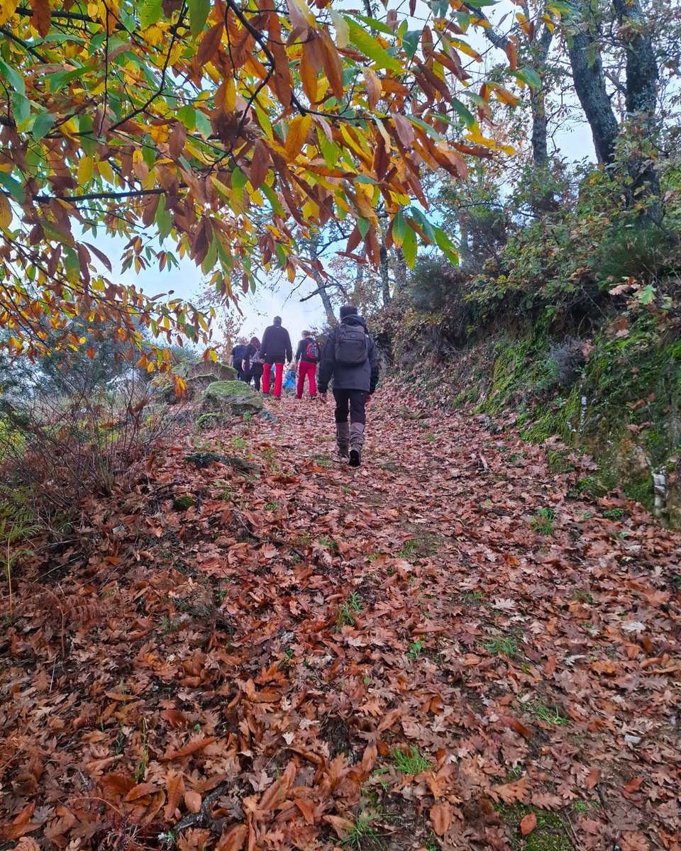Paisajes como estos son los que ofrece el otoño en el Valle del Jerte.
¡Te esperamos en nuestra #Otoñada25! 🍄🌰🍂

🗓 16 de octubre a 7 de diciembre

cerezadeljerte.org/disfruta-del-o…