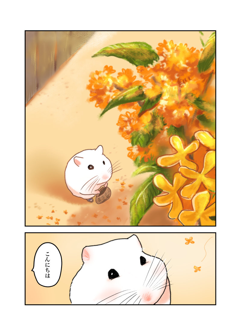 ある日、母ちゃんがハムスターになった話。
母ちゃんと思い出の花 編。(1/2)
 #漫画が読めるハッシュタグ