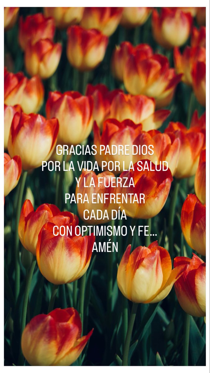 Herbert  Araujo (@herbert_0110) on Twitter photo 