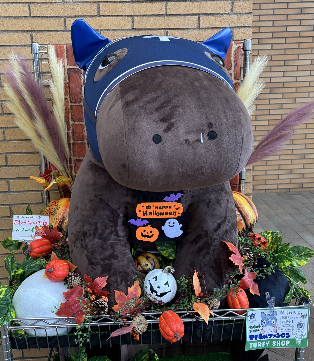 JRA_Niigata's tweet photo. 秋の新潟競馬は今週18日(土)から！

聖地巡礼!?もお待ちしております🎃 https://t.co/qOEstdEDMn