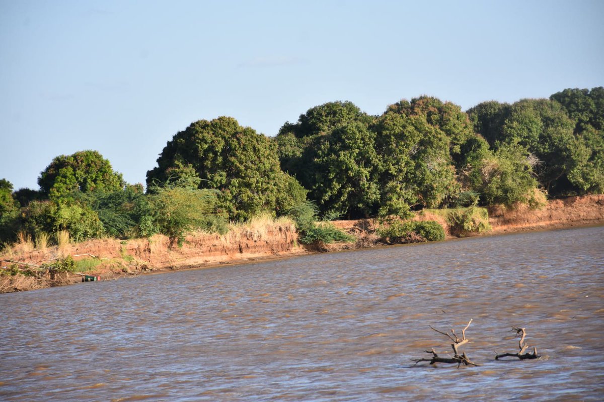 Hirola Conservation tweet media