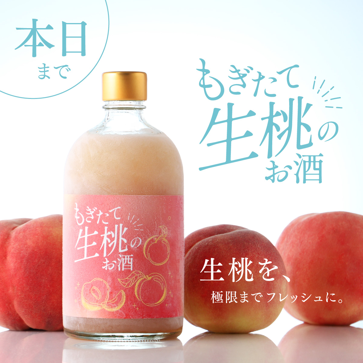桃好きでお酒好きな方へ🍑

『もぎたて生桃のお酒』が今夜締切です

超完熟で、超フレッシュな桃酒をつくる
クラファンならではのプロジェクト！

ぜひ引用元から詳細をご覧ください✨️