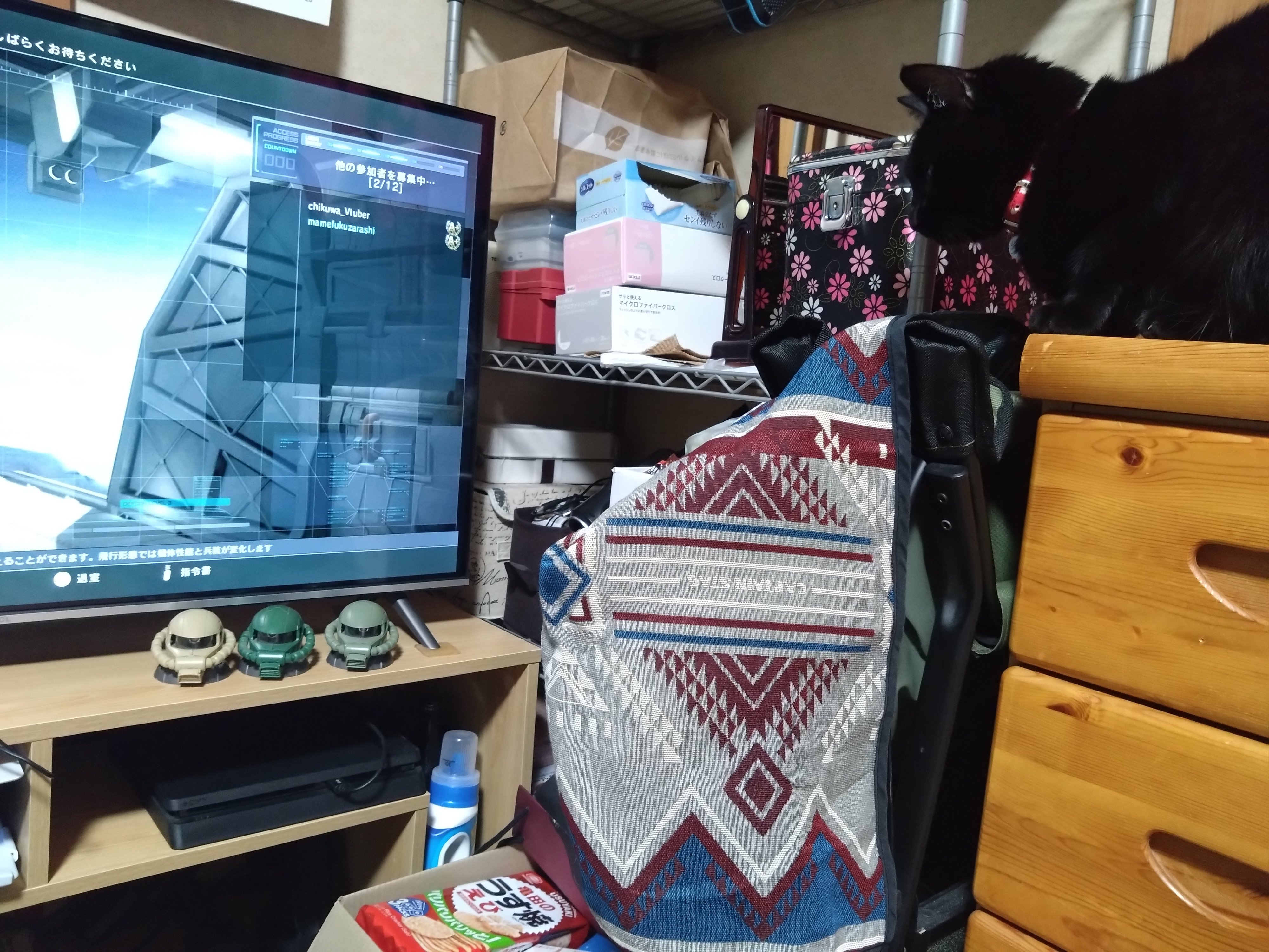 ちくわ (@Chikuwa_GBO2) / X