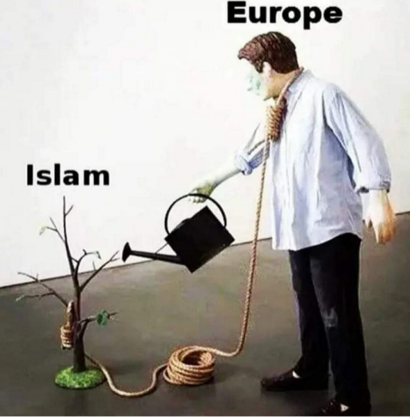 The Win Doctor tweet media