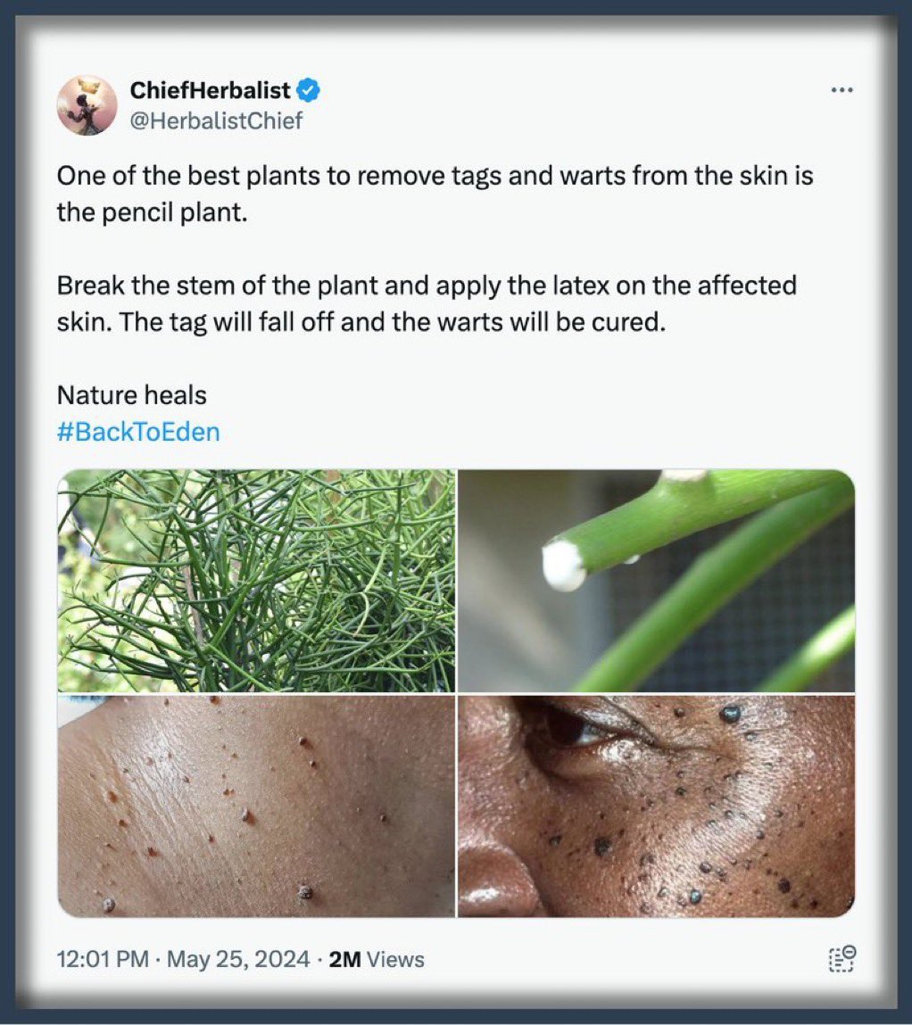 HerbalistChief's tweet image. Skin tags disappears within 3 days. Nature heals.