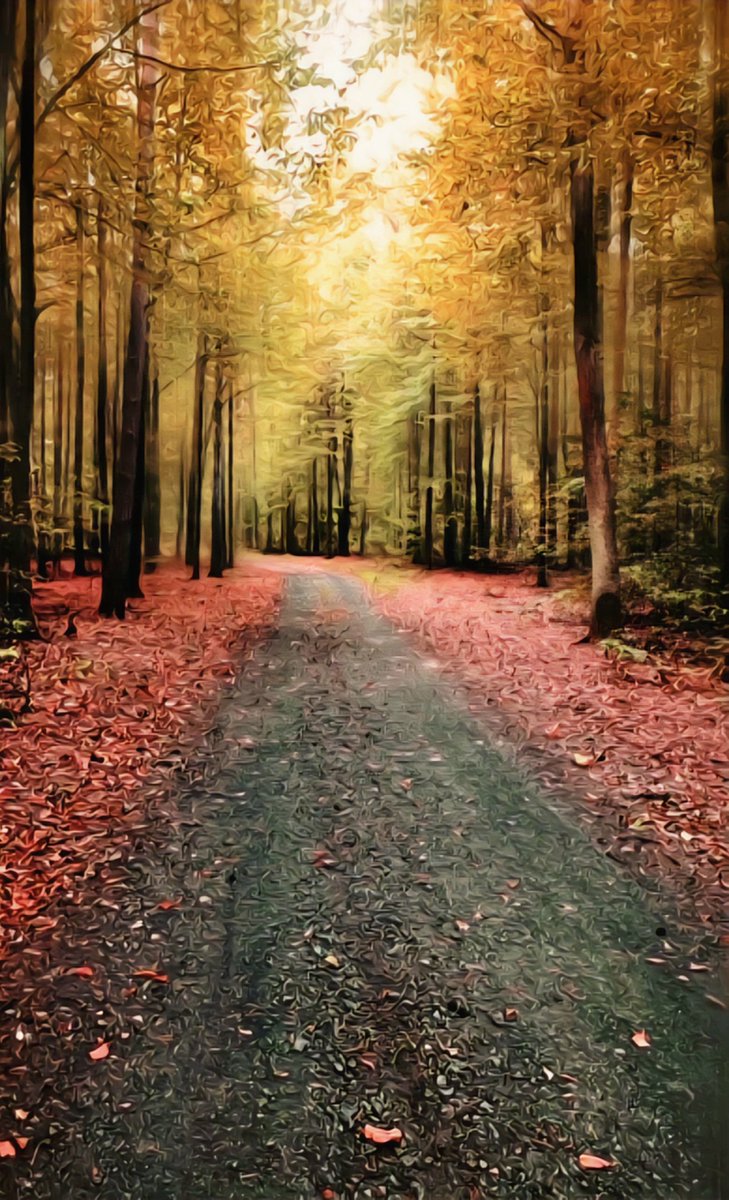 #Fot_O_ktober .

#Straatbeeld #Street_scene .

<a href="/jolandabrwr/">JoLaNDa_hobbyfotograaf</a>