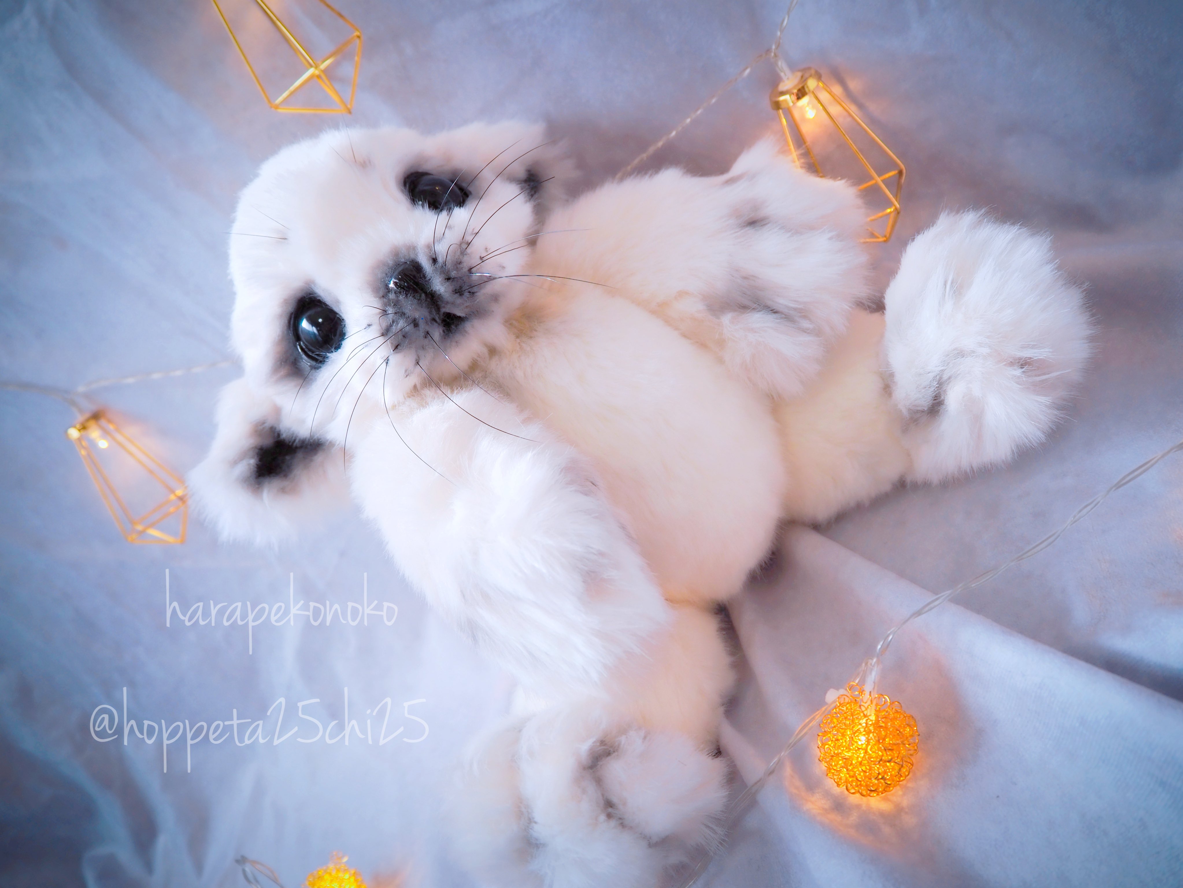 ハラペコ (@hoppeta25chi25) / X