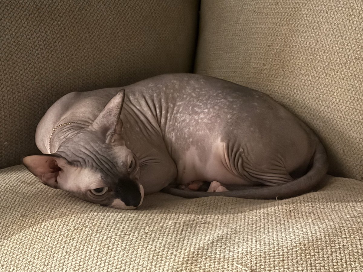 วันนี้ไม่มี