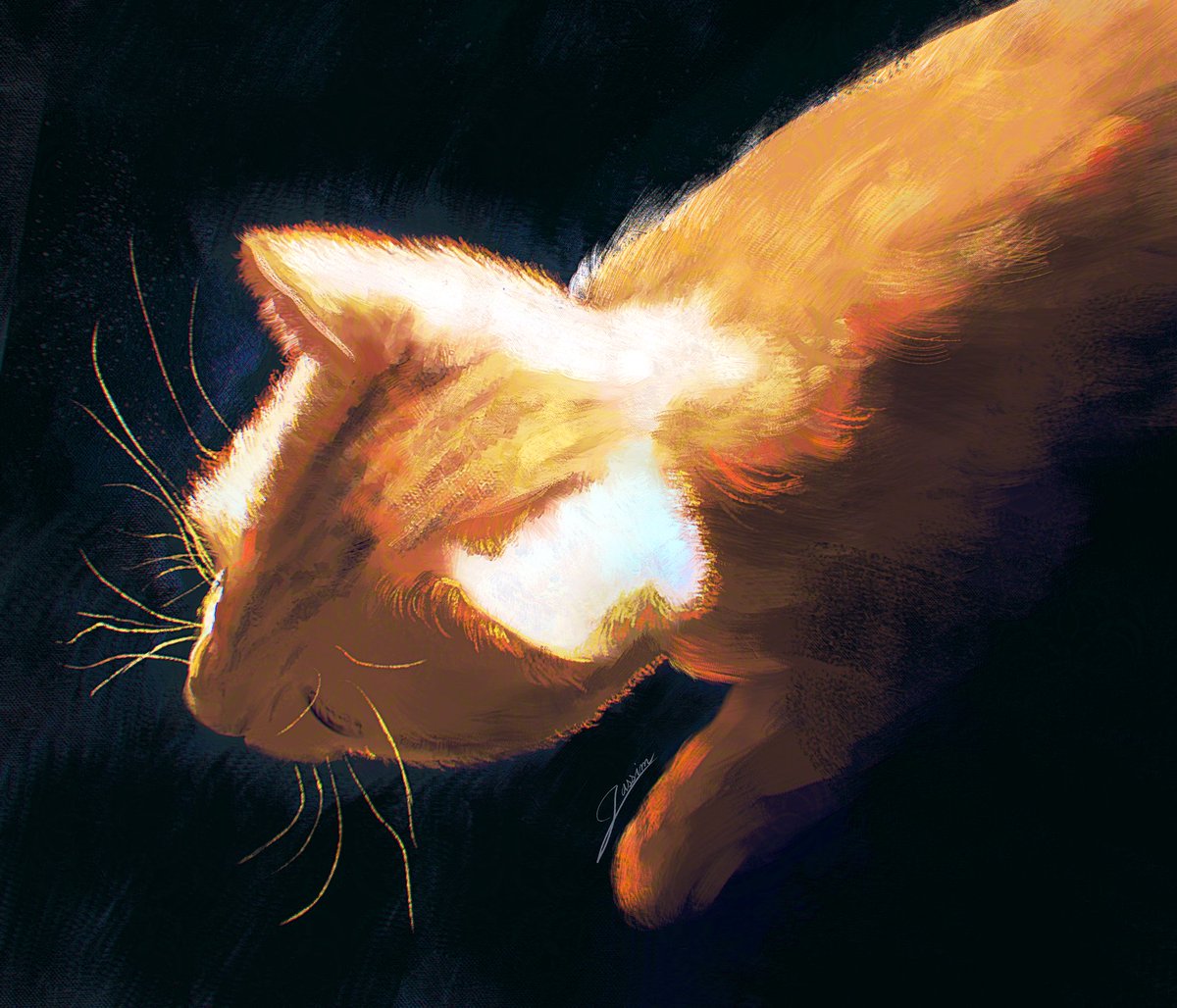 #meow #illustration