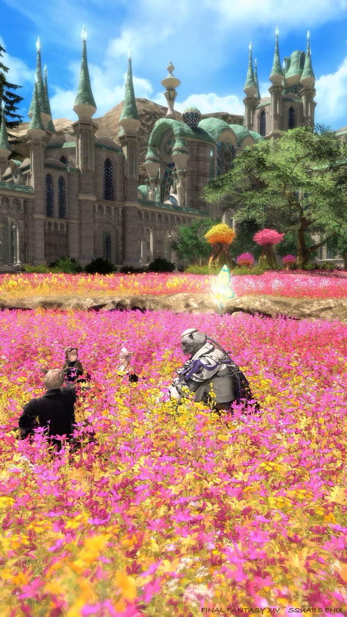 🌼🌸🏵️
 #FF14キャラ入り風景SSの会