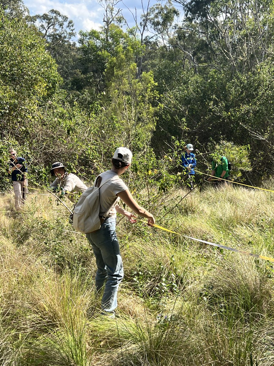 Great first day of 2nd year Ecological methods residential school (i.e. field trip). Students learned how to estimate vegetation cover, assess tree health and how to set up scientifically accurate study plots. 🌿📏🪾📊

<a href="/ch_birnbaum/">Christina Birnbaum PhD🍃</a> <a href="/DearnaleyJohn/">John Dearnaley</a> <a href="/UniSQ_SoAES/">UniSQ_SoAES</a>