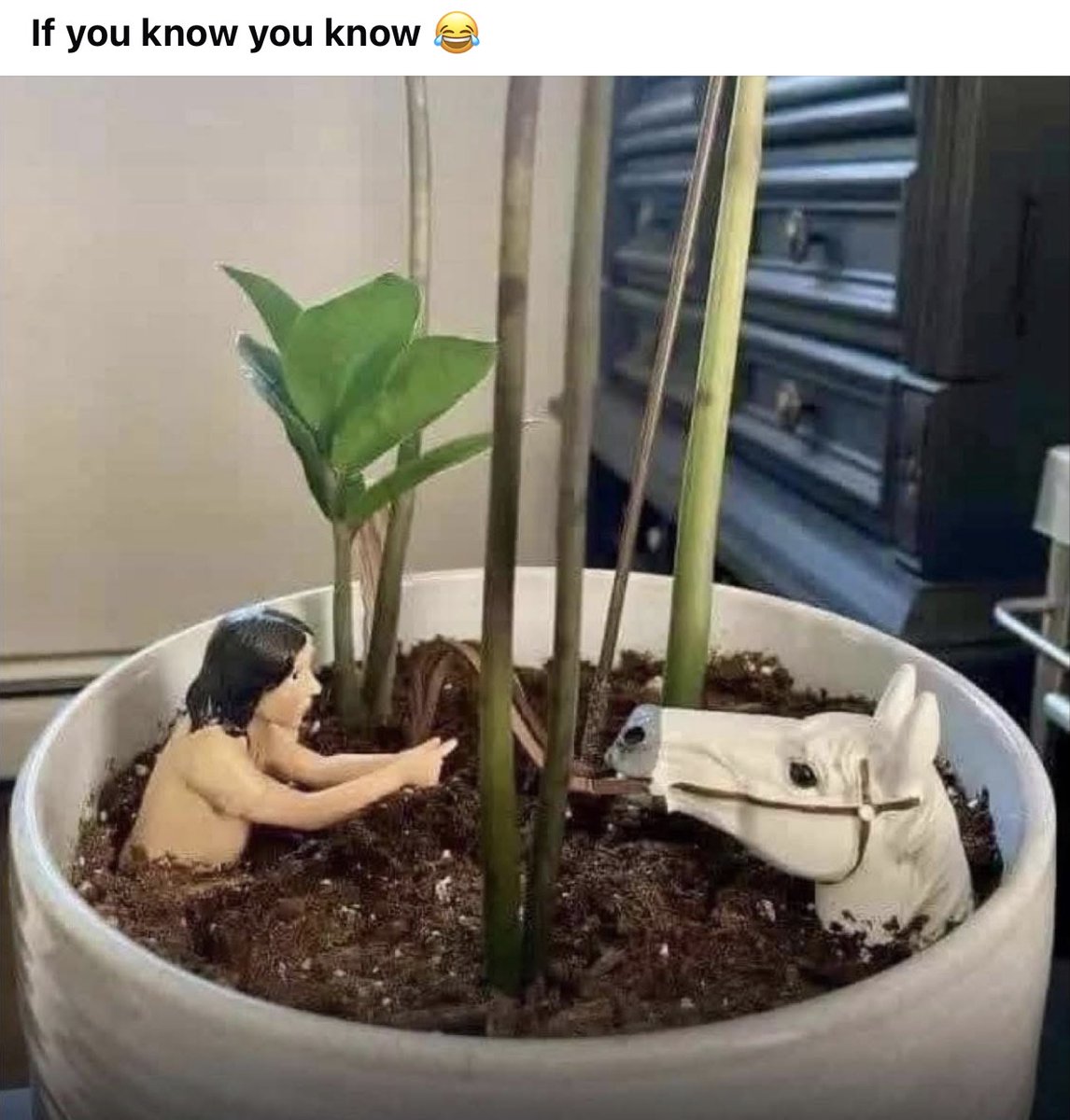 Retro Toys and Cartoons (@toys_retro) on Twitter photo 