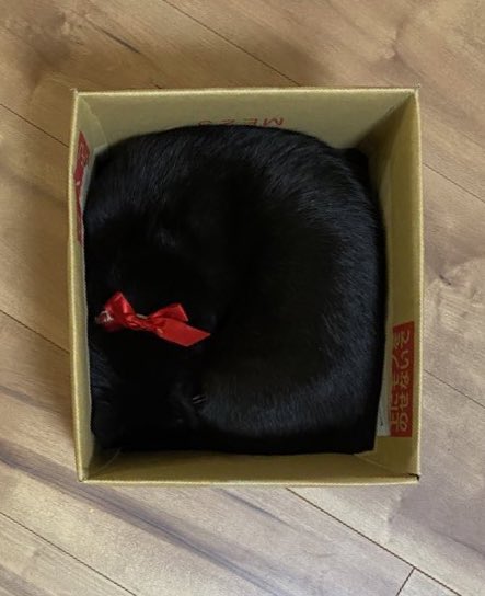 ちっち🥦🙈💕︎ on X: 