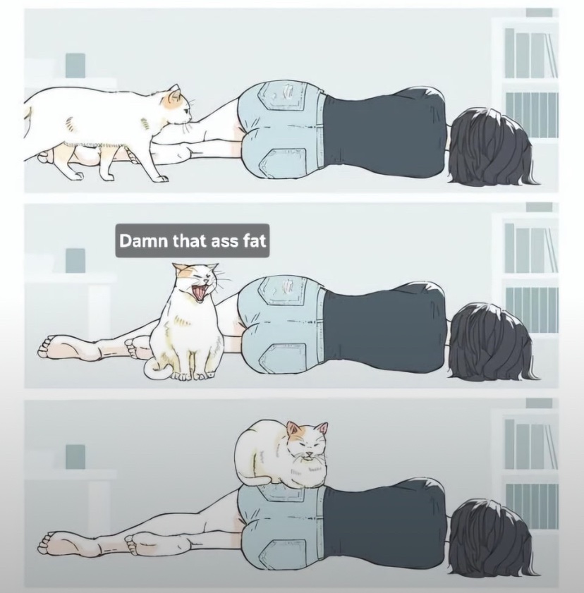 cats with powerful impression 🐾 tweet media