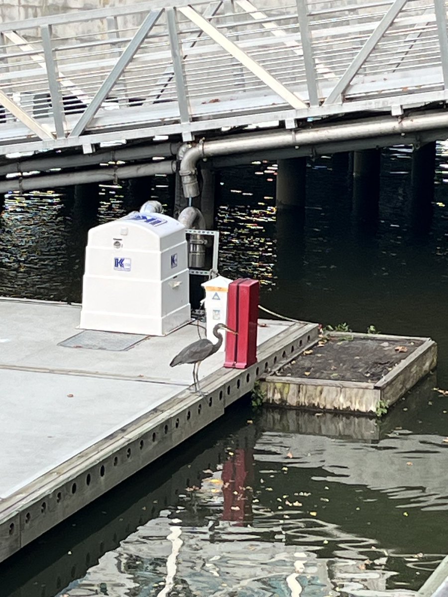 Morning ⁦<a href="/TheWharfDC/">The Wharf</a>⁩ #beautifulcitybeautifulworld