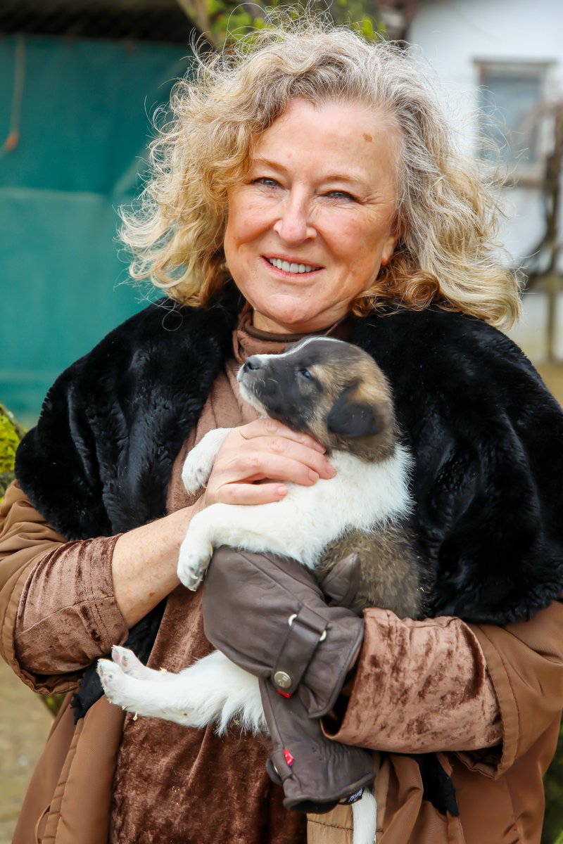 CreativeMornings/IST tweet media