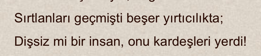 Human Rights tweet media