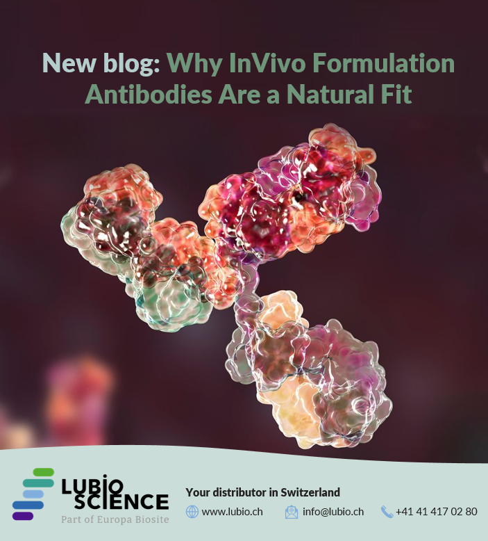 LubioScience's tweet photo. Bio X Cell's in vivo-formulated antibodies offer ultra-low endotoxin levels, lot-to-lot consistency, and flexibility to transition seamlessly between ex vivo and in vivo studies 👉 https://t.co/QyQMxjpXGT https://t.co/lDSEf1Xv3i