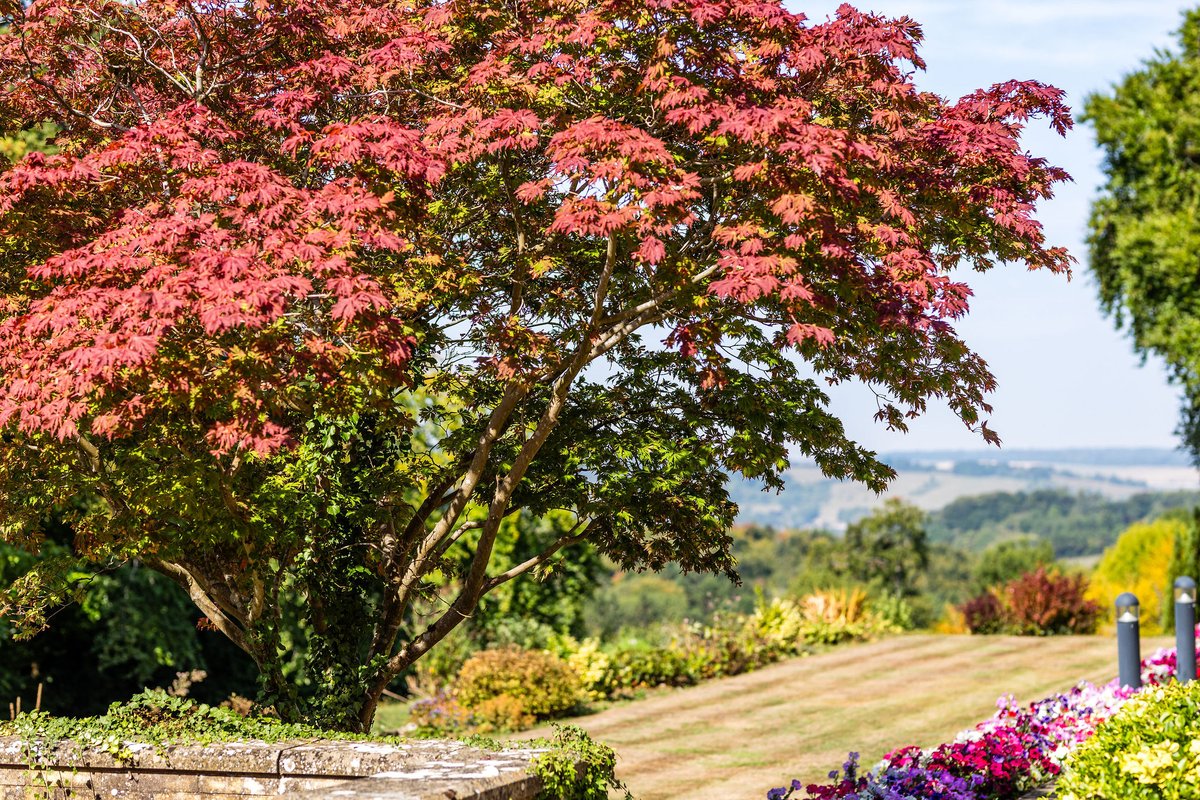 FlintHouseRehab's tweet image. For over 135 years, our charity has been a trusted place of recovery for thousands of members of the police service.

We couldn’t provide this for our policing community without your support.  To be involved, donate via flinthouse.co.uk/give-support/

#helpandheal #trustedplace