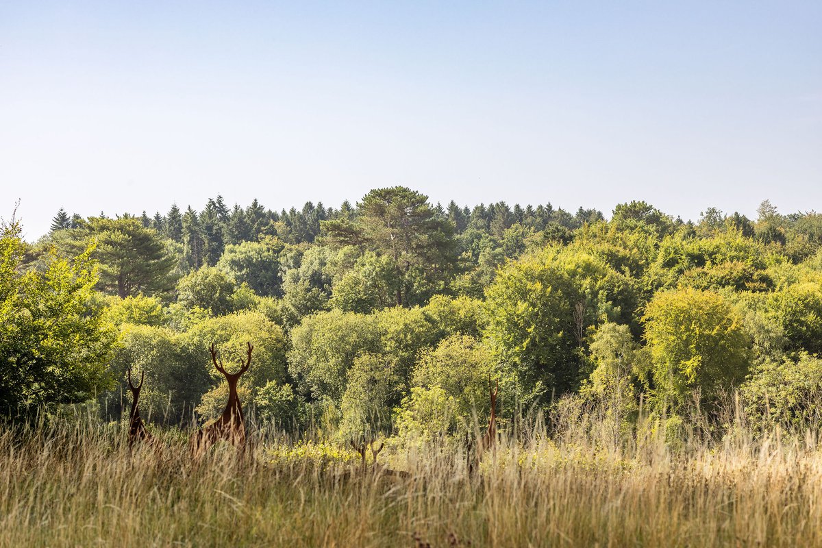 FlintHouseRehab's tweet image. For over 135 years, our charity has been a trusted place of recovery for thousands of members of the police service.

We couldn’t provide this for our policing community without your support.  To be involved, donate via flinthouse.co.uk/give-support/

#helpandheal #trustedplace