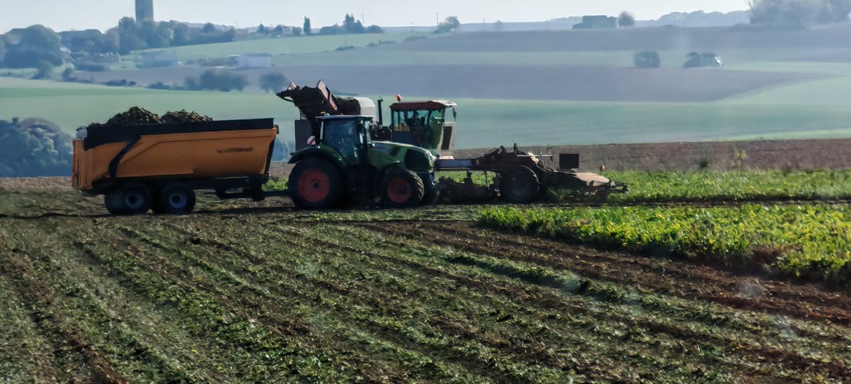 MathildeJonet's tweet image. le mois d&apos;octobre continue de passer avec le premier tour d&apos;arrachage de betteraves. verdict mardi
La fin des récoltes d&apos;automne approche ainsi que les semis de céréales. 
Malgré qq pannes, les conditions climatiques permettent un travail ds de bonnes conditions.
@Cristal_Union