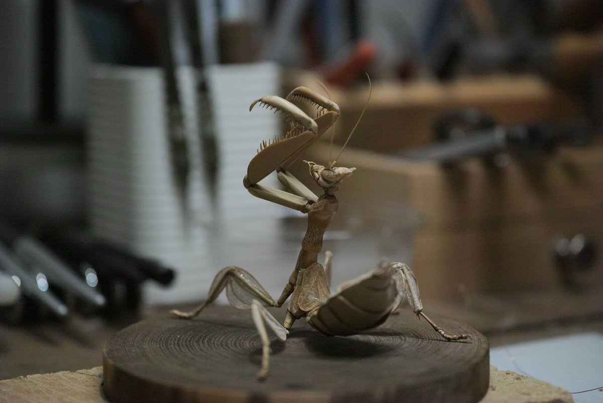 齋藤 徳幸 BAMBOO INSECTS 昆虫竹細工 (@noriji_s) / X