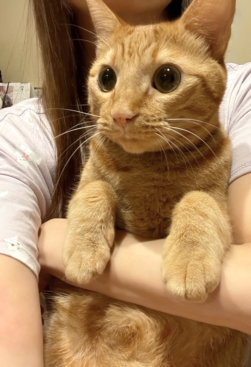 枯れないように君がくれた想いに
水を与え続けたい𖧧 捕まえたᶫᵒᵛᵉ