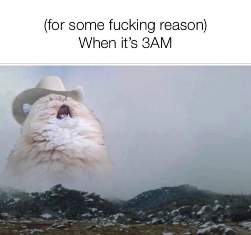 contents that ll heal your depression 🌻 (@catshealdeprsn) on Twitter photo 