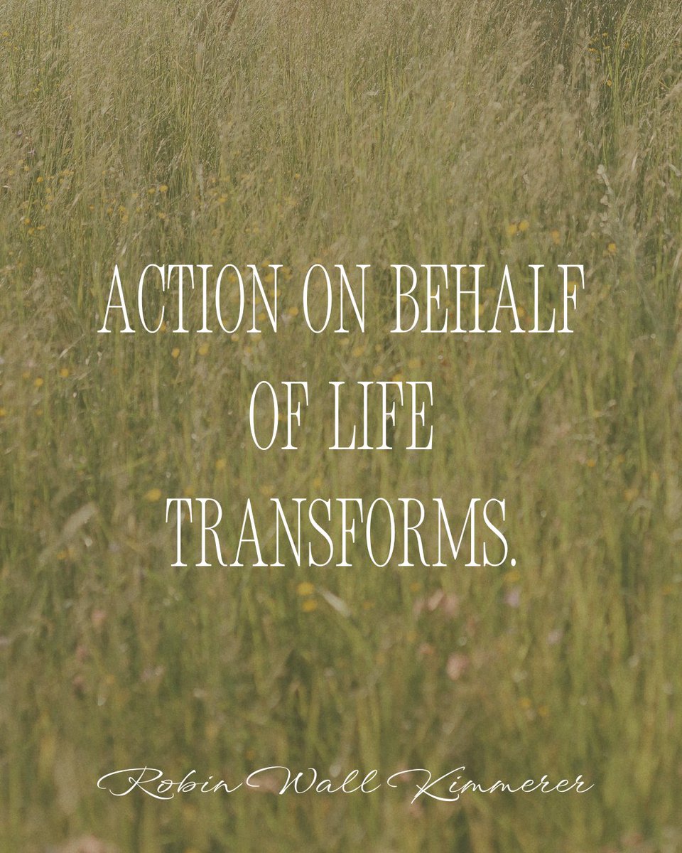 AldoLeopoldFdn's tweet photo. “Action on behalf of life transforms.” ―Robin Wall Kimmerer, Braiding Sweetgrass

#WednesdayWisdom #BraidingSweetgrass #Conservation #Action #Earth https://t.co/ElDUfL3qMd