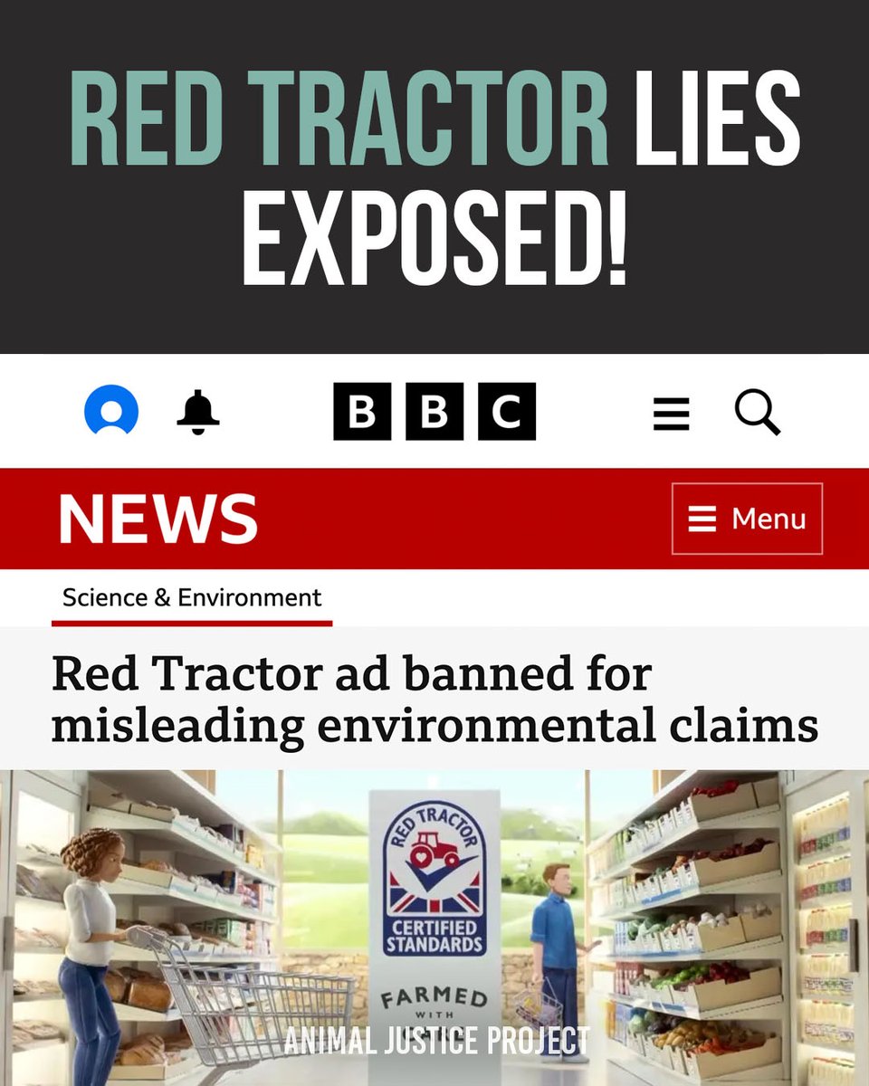 ajpReact's tweet image. 🚨 The curtain has been pulled back: a Red Tractor “Farmed with Care” advert has been officially banned for misleading claims about environmental standards.
While their label presents an image of "ethical farming," the reality tells a different story: the abuse of animals,…
