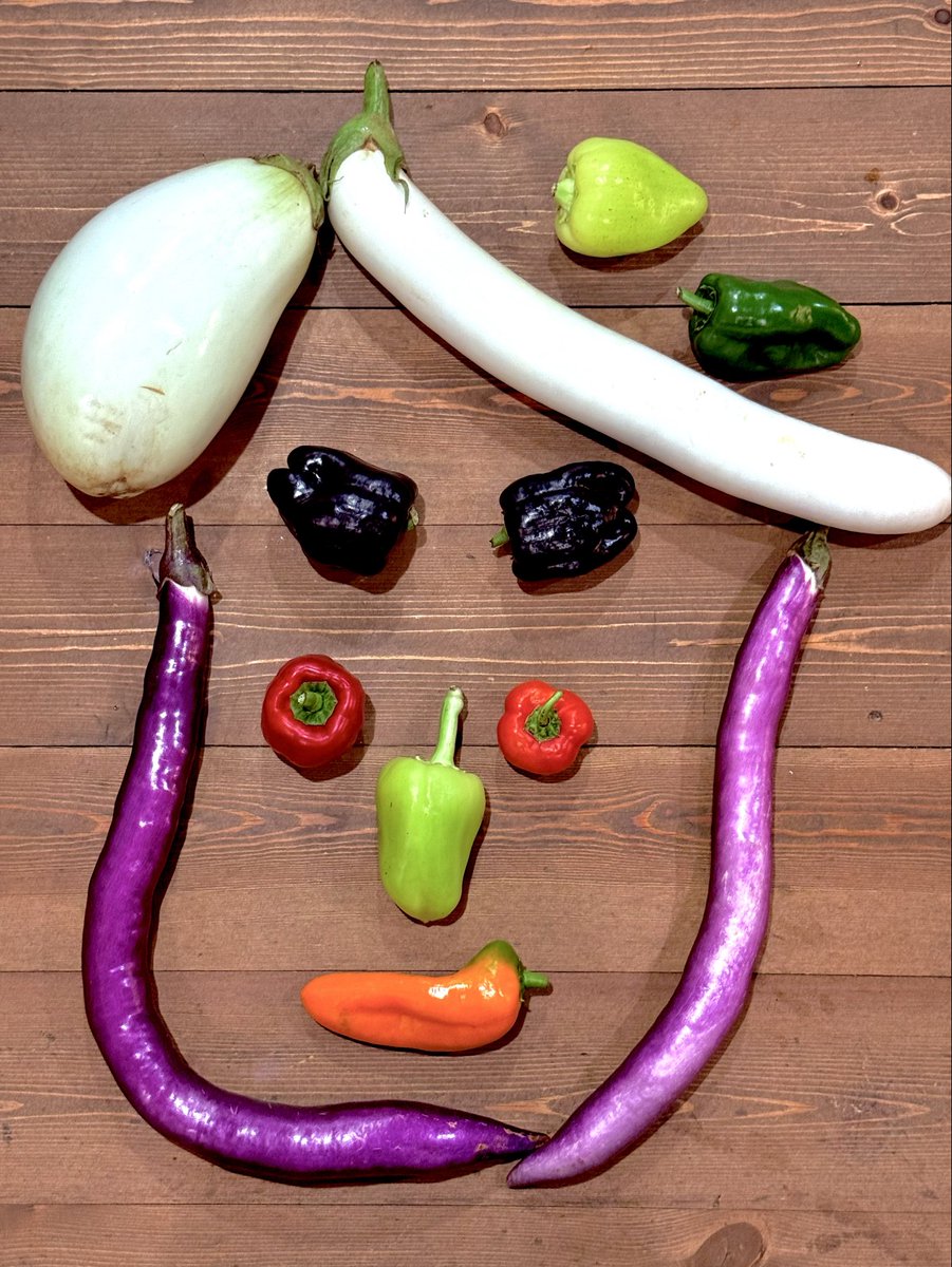 クニロックのねぎらいで茂木さんから野菜もらった、緑のピーマン以外全部個性的すぎる。