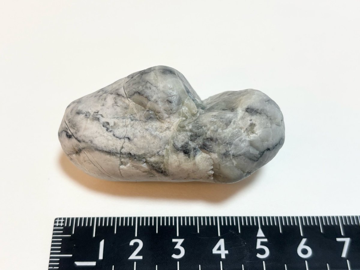 hamanasu_h's tweet image. 2025年10月4日採取
ヒスイ輝石岩(FMM鑑定済)
親不知海岸
62.0g

比重3.27とずっしり重い灰色ヒスイ👏