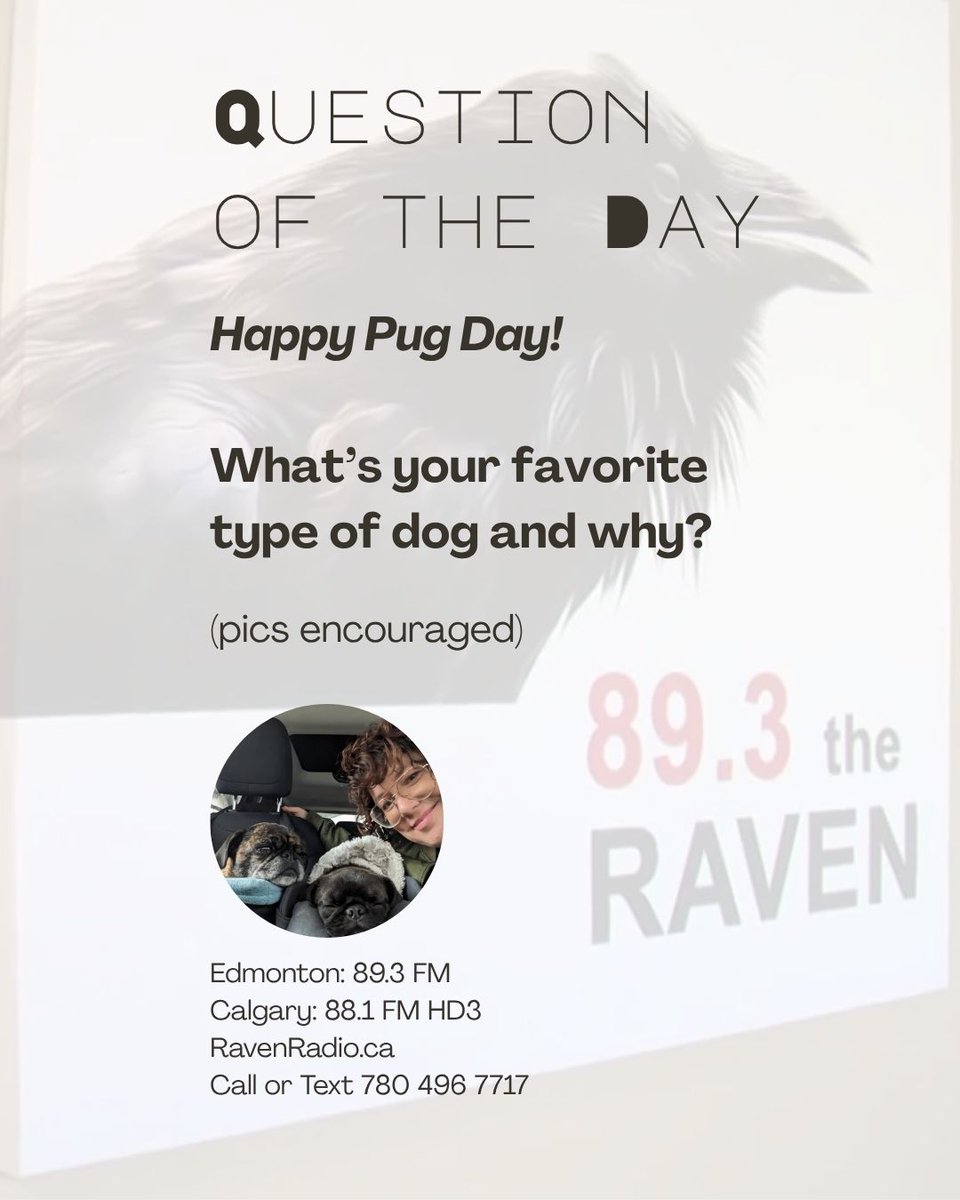 893TheRaven's tweet photo. Happy International Pug Day!
They’re wrinkly, wiggly, and full of personality - meet Bob and Betty, the official pugs of The Raven Morning Show!
What’s your favorite type of dog and why?
Drop your answers (and dog pics!).
#InternationalPugDay #PugLife #YEGPets #Edmonton #Radio https://t.co/V4JHAS7Bto