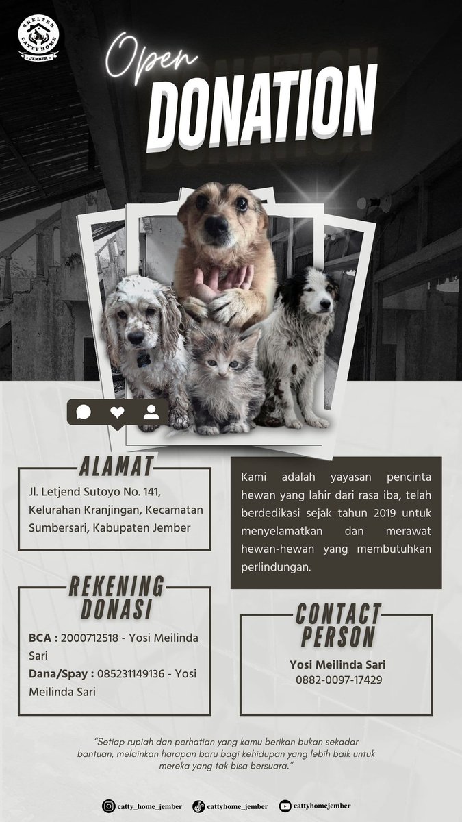cattyhomejember's tweet photo. Rumah berteduh mereka di hancurkan oleh angin yg kencang dn smua hewan harus khujanan dn kdinginan krn smua ruangan bocor.. shelter kami menjadi salah saru korban bdai kmrin.. 
Tmn" kami sngat berharap tmn" mau dn berkenan bantu kmi saat ini. Brppun itu sngt brharga 🙏🙏 https://t.co/V6BPpLyTp4