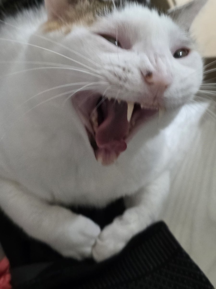 하아아아아ㅏ품