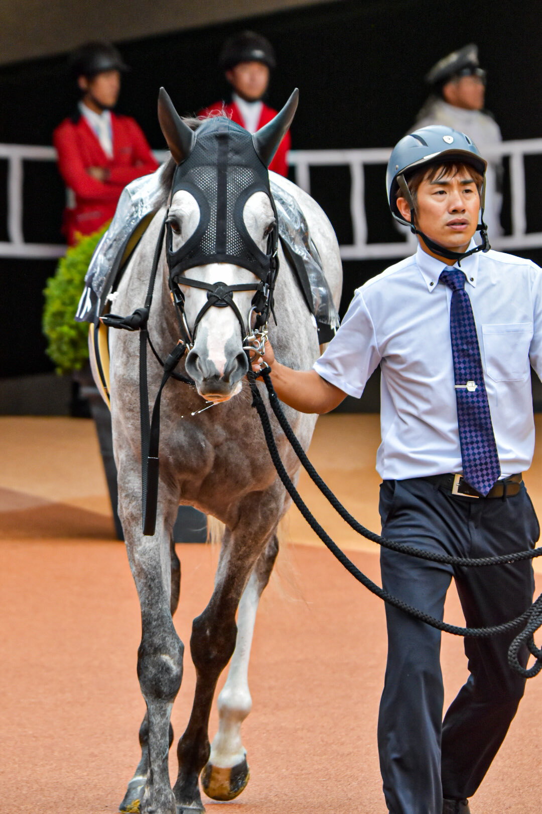 乗馬　即購入大歓迎！今日限定！ TKA (@takayukizuna88) / X