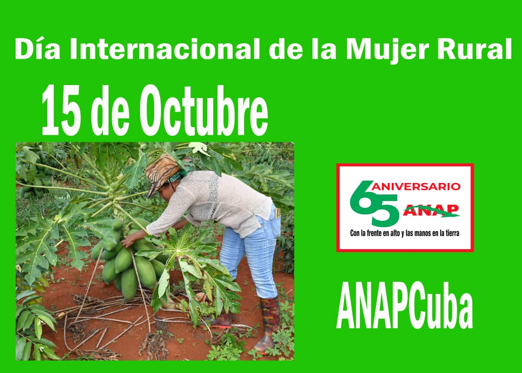 🇨🇺✊🌹❤️ Ellas, un bastión inespugnable en el desarrollo agrario y la emancipación de las mujeres del campo #CubaHonra
#ANAPCuba
#MujerDeAceroYMiel