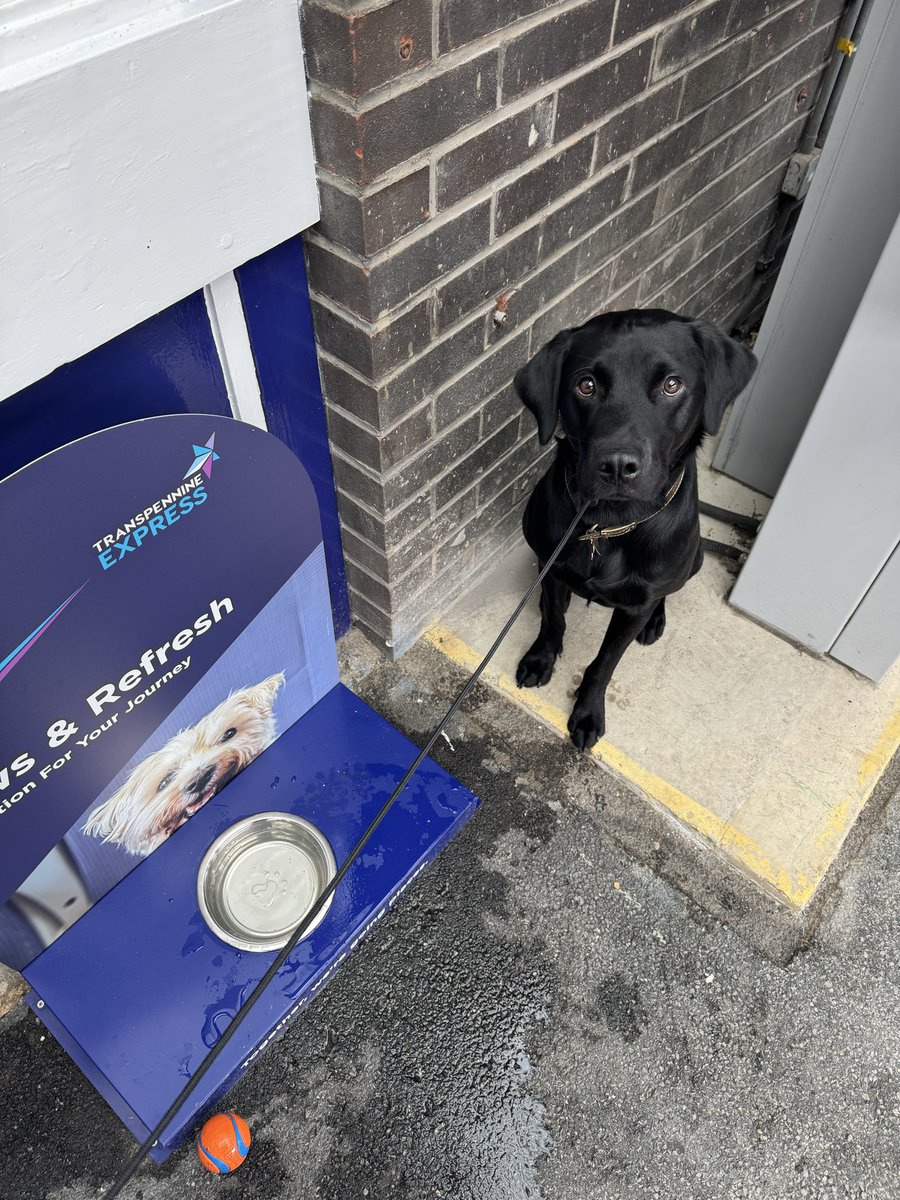 Jpmistry's tweet photo. Nice to ‘paws and refresh’ @TPExpressTrains #thanks #blacklab https://t.co/wBVpBNZjhy