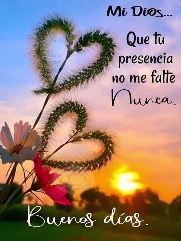 Gracias, mi Señor…
Por un nuevo día 
Por el don de la fe…
Por creer en Ti y en Tus Promesas… Gracias por reconocerte como mi Dios, mi Amigo y mi Hermano…Gracias por dejarme sentir tu presencia en mis hermanos y a través de toda la creación…
Gracias…muchas Gracias,mi Señor…