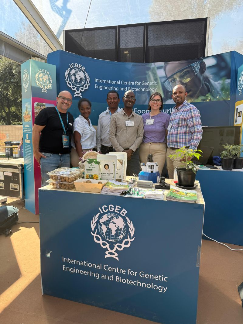 ICGEB's tweet photo. That's a wrap #FAO80 #seeds2food!
Super team (L-R) Fernando Cantão, Gelila Biresaw Sime &amp; Addisu Fekadu Andeta of @ArbaMinch_Univ, Fantahun Woldesenbet Miseganaw, Elena Benedetti, and Birhan Addisie Abate @ICGEB_BG

#agriculture #Africa #Italy #ScienceforDevelopment https://t.co/vcdq460gwZ