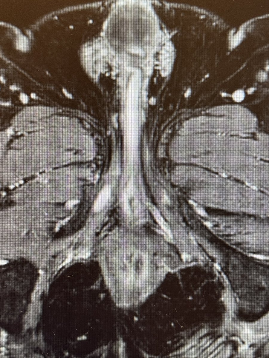 Piet Ost tweet media