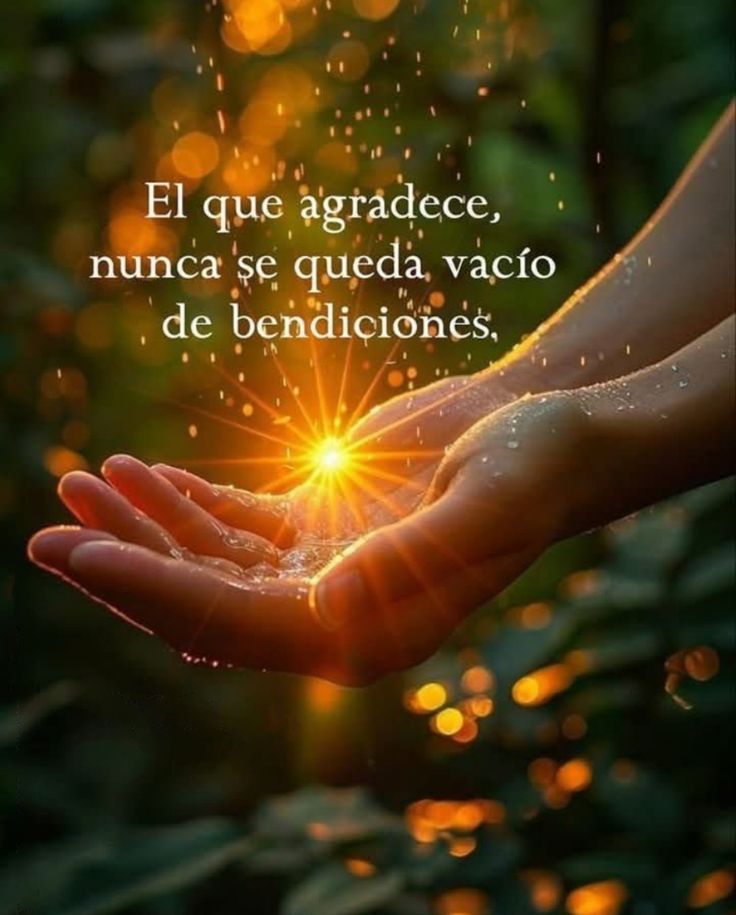 El que agradece, nunca se queda vacío de bendiciones! 🙏🙏🙏
#FelizMiercolesATodos 
#BuenosDías 
#FraseDelDía 
#FrasesParaElAlma 
#FelizMiercolesATodos