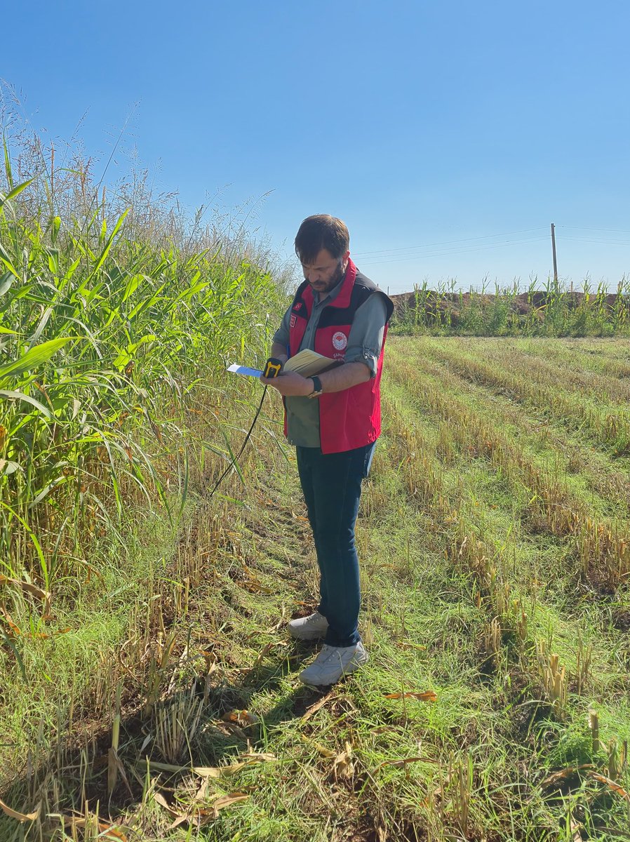 Haliliye İlçemize bağlı Havşanlı mahallemizde Silajlık mısır hasatına katilim sagladik.Ciftcimizin destek alabilmesi için yerinde tespitlerde bulunduk.<a href="/faruk_bozova/">Faruk Çetiner</a> <a href="/Sanliurfatarim/">Şanlıurfa İl Tarım ve Orman Müdürlüğü</a> <a href="/TCTarim/">T.C. Tarım ve Orman Bakanlığı</a> <a href="/ibrahimyumakli/">İbrahim Yumaklı</a> #tarımsahada
