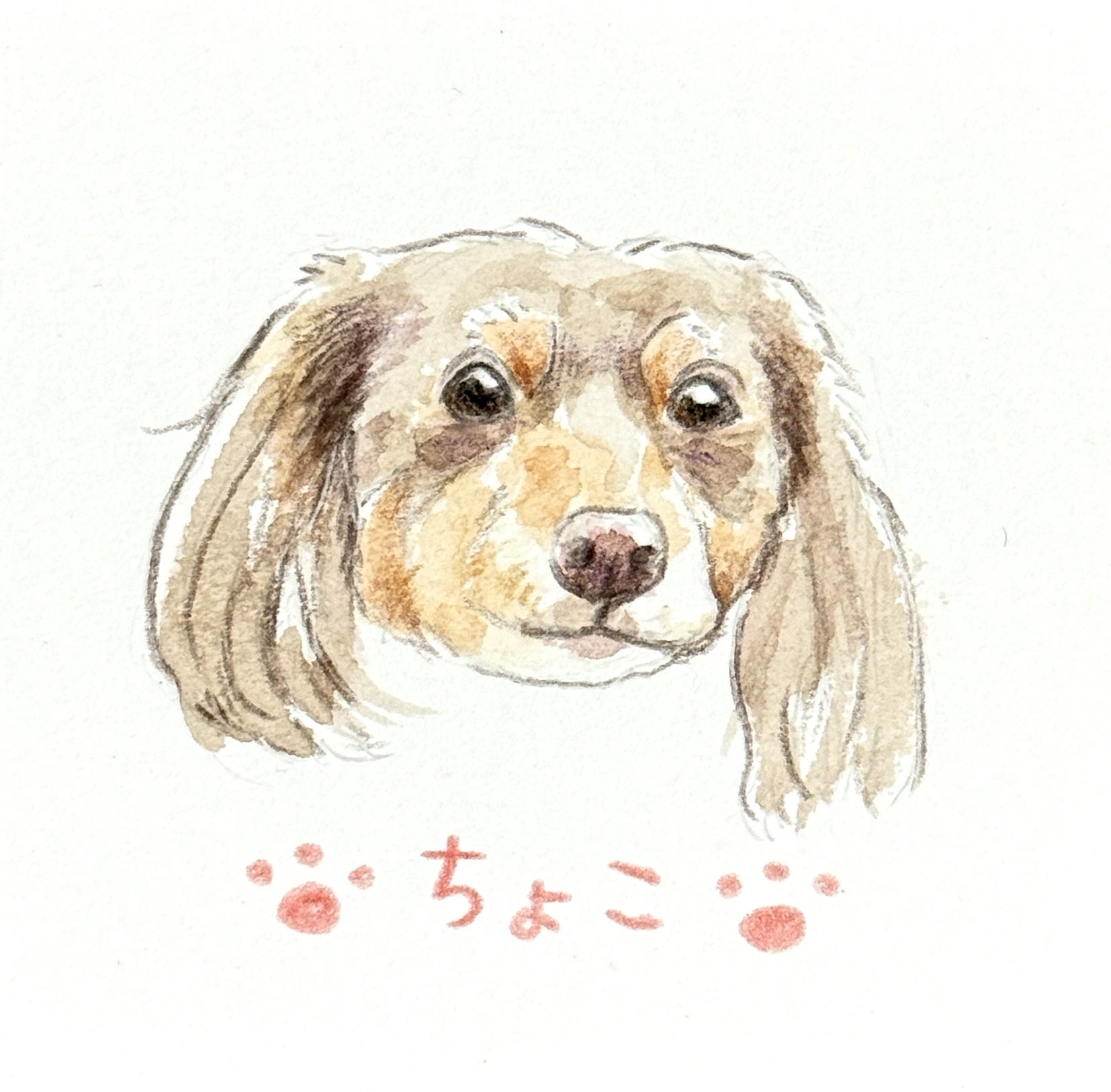 YUUTOMATO様ヘ専用可愛らしい犬のイラストが描かれた まい🍁ペット似顔絵 on X: 