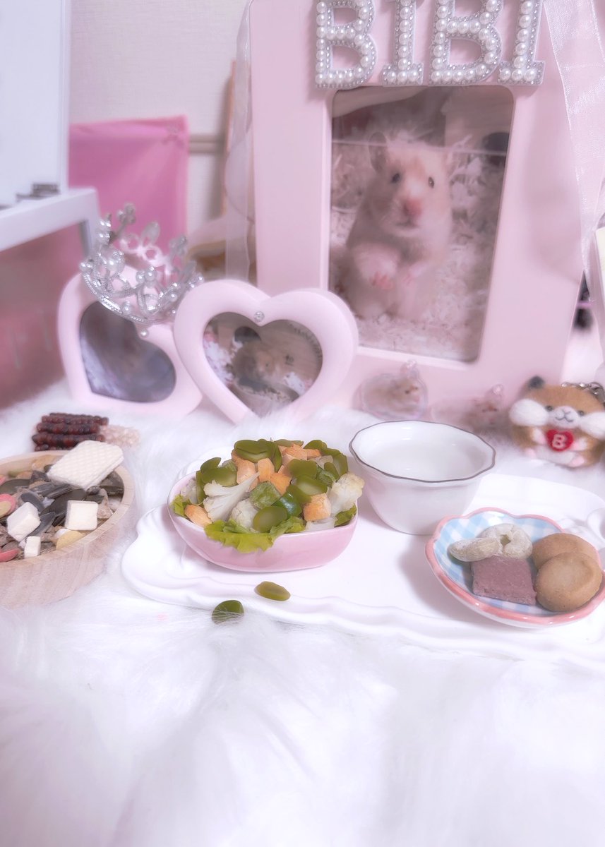 びびちゃんのごはん変えようと思ったらいつの間にかこぼれてる。昨日のメロンもこぼれてて、あれ？って思ったんだけど、びびちゃん食べに来てくれてるんかな？もうすぐ１年経つね去年のいまごろびびちゃんすごくがんばってくれてた