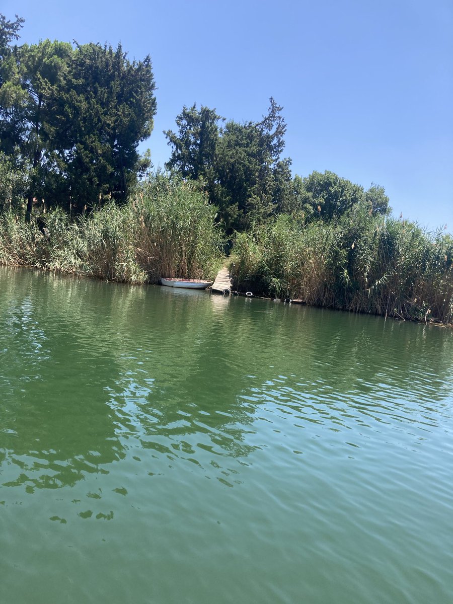 Bilirim buz dağıdır özlem, eflatun sabahlarda…
Bilirim kulaklarım çınladığında, özleyenim vardır uzaklarda...
Ve yine bilirim ki özleyenim, özlediğimdir aslında...!

Ahmed Arif